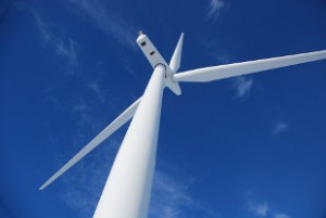 windfarm
