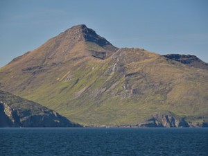 rum