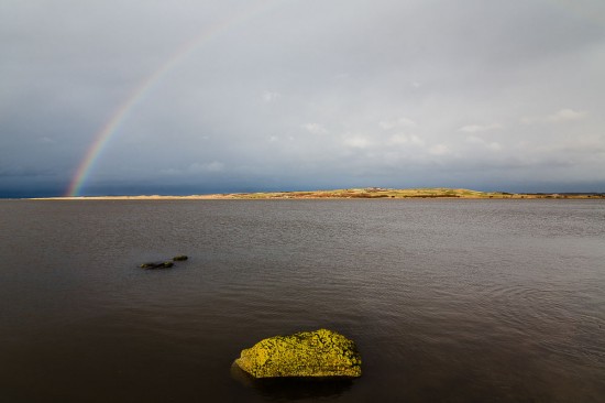 aberlady (3 of 4)