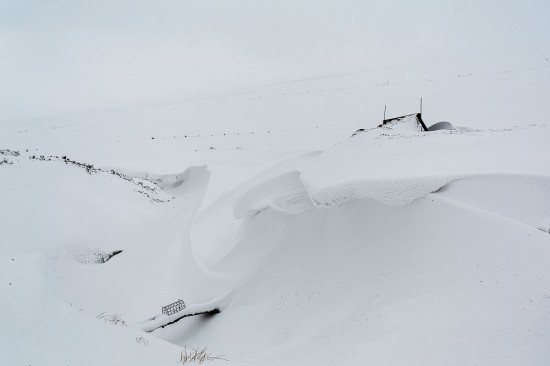Fenn trap in the Lammermuirs