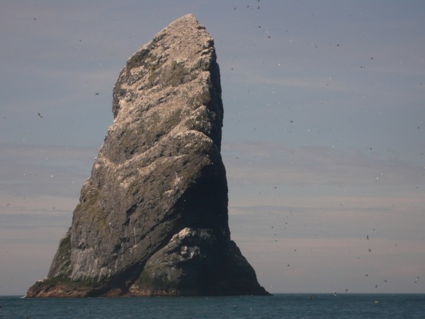 Stac Lee