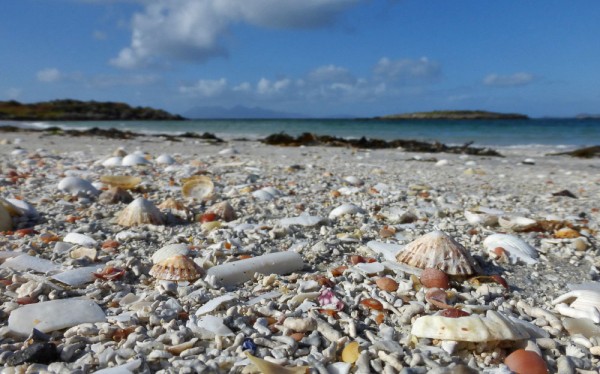 Some of the beaches near Morar have very high shell content