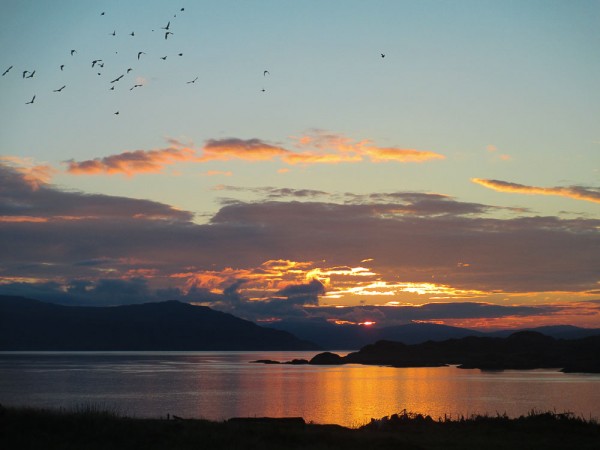 sunrise 2