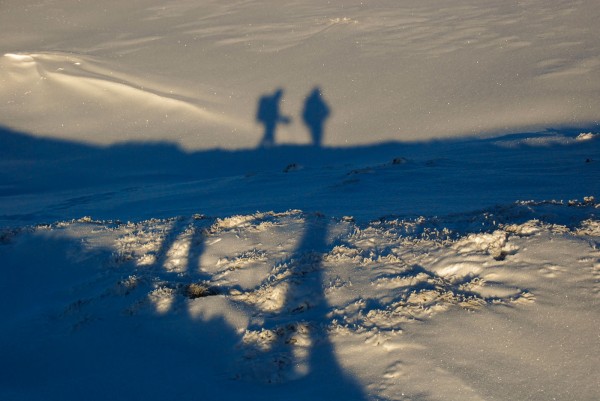 shadows