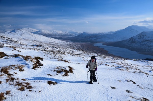 snowshoes