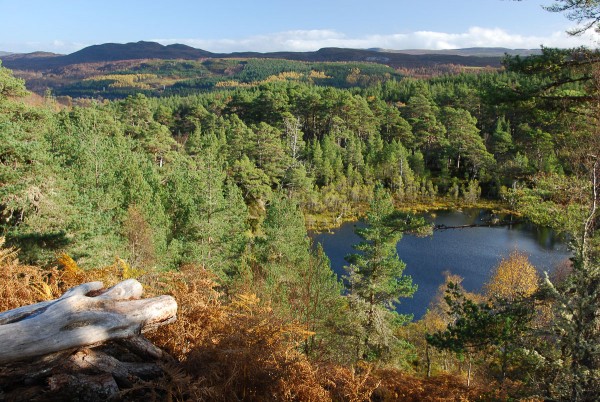 affric