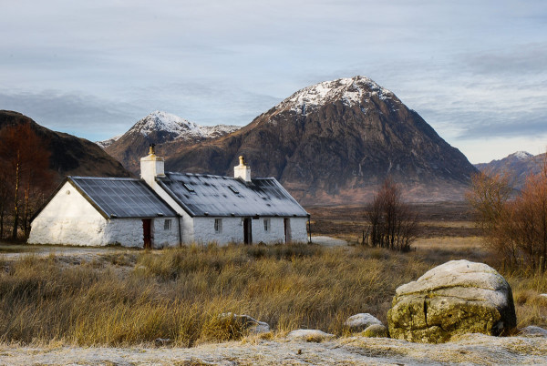 buachaille