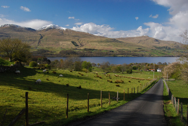 lawers