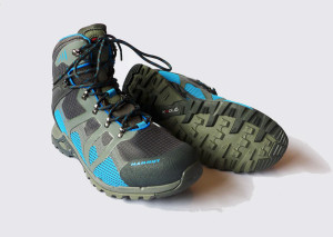 Mammut