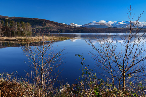 lochy