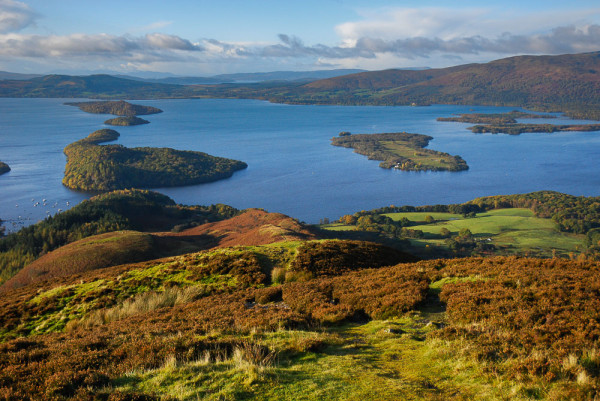 lomond