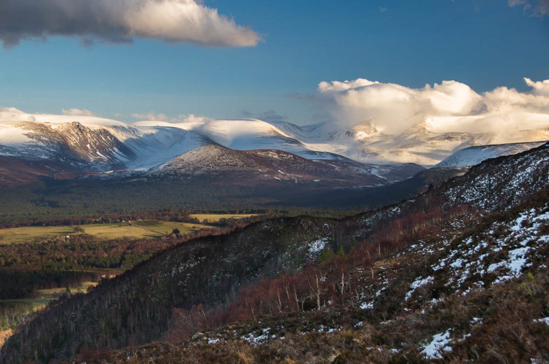craigellachie