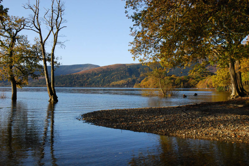 Sallochy on the shores of Loch Lomond