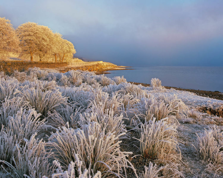 Caramel Ice - © Ian Cameron