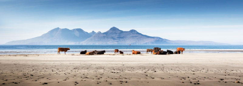 Seascape winner - © Omer Ahmed