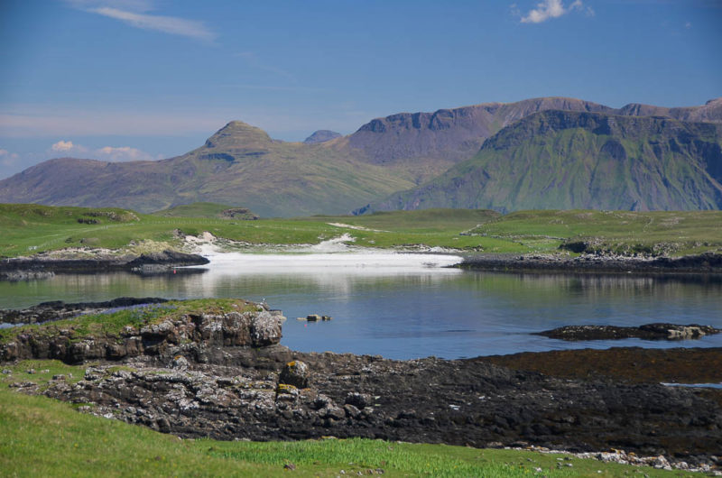 canna