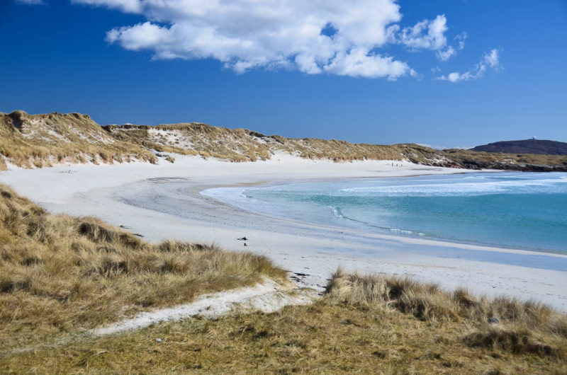tiree