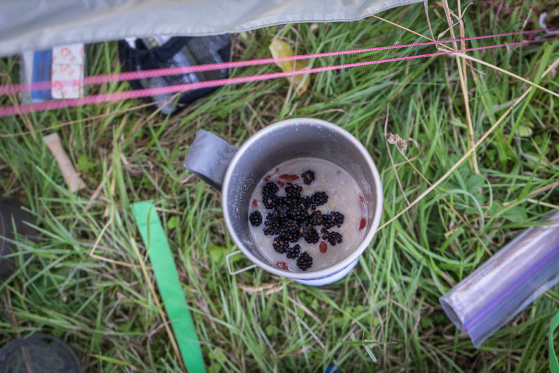 Supplementing the porridge with forage!