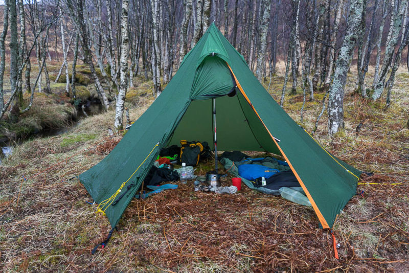 Sheltered from heavy rain and high winds in an Assynt birchwood.