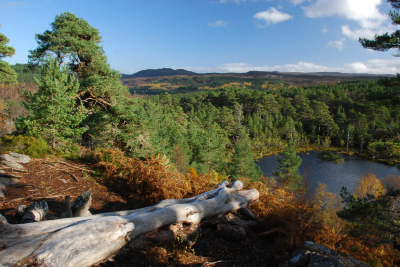 Coire Loch, Glen Affric - waymarked by the Forestry Commission