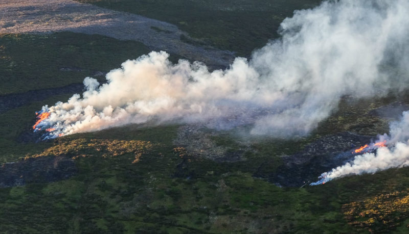muirburn