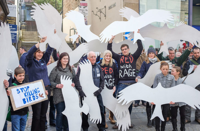 Protest against raptor persecution in Inverness