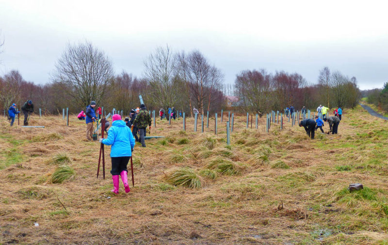 Community tree planting in Bathgate, West Lothian. 7,500,000 volunteer hours go into monitoring the UK’s wildlife every year