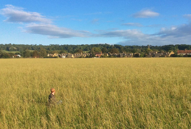 A field in the English Cotswolds. Soon to be 90 houses.