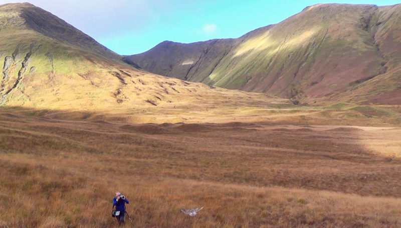 Crossing the tussock-covered lake in Glen Cannel. By coincidence I was filming a video blog when the owl appeared, so here’s a still of me snapping it as it flew off.