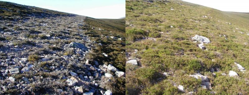Left: 2002, Right 2016 (Photo: John Agnew, NTS)
