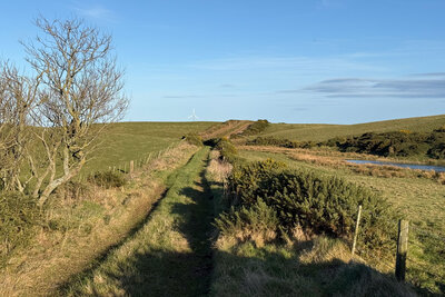 Walk photo