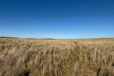 Walk photo