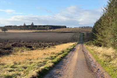 Walk photo
