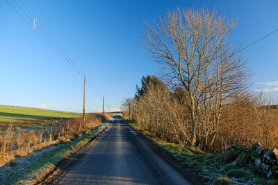 Walk photo