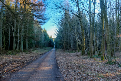 Walk photo