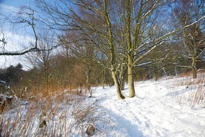 Walk photo