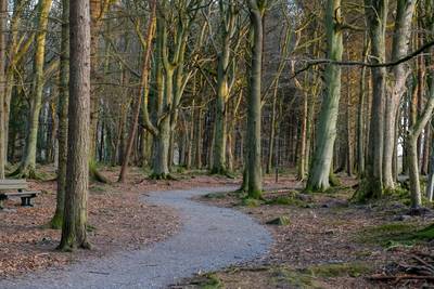 Walk photo