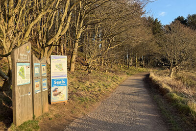 Walk photo