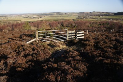 Walk photo