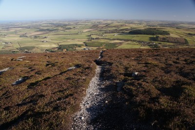 Walk photo