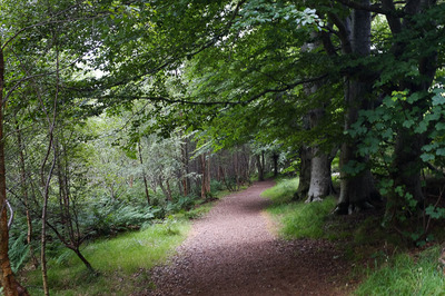 Walk photo