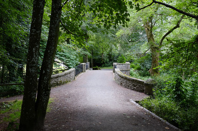 Walk photo