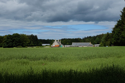 Walk photo