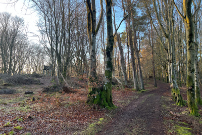 Walk photo