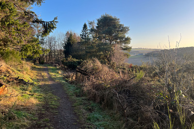 Walk photo