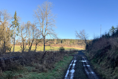 Walk photo