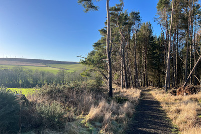 Walk photo