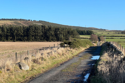 Walk photo