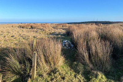 Walk photo