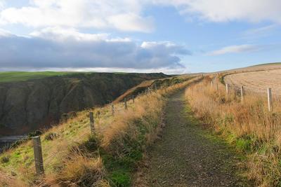 Walk photo